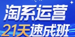 白凤淘系运营21天速成班2023完整版【网盘资源】