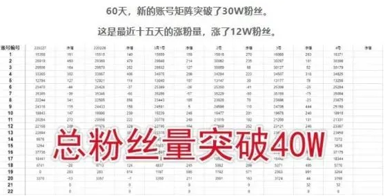 倪叶明·蓝海公众号矩阵项目训练营，0粉冷启动