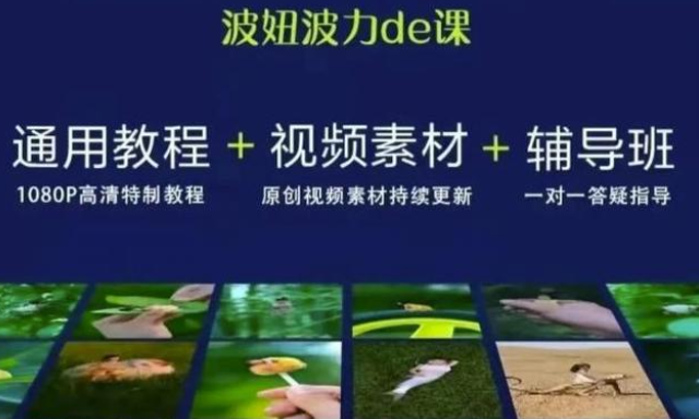 波妞波力de视频通用教程+视频素材+辅导班