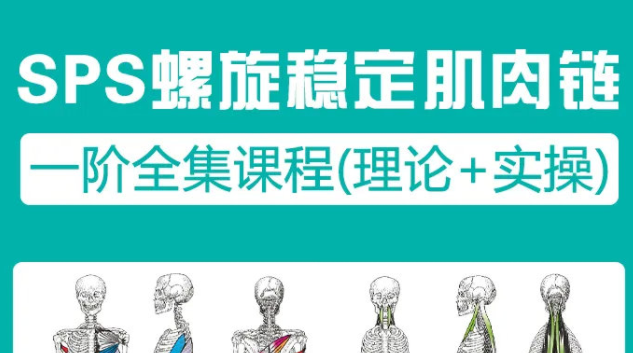 sps螺旋肌肉链一阶二阶动作精细讲解【24课】