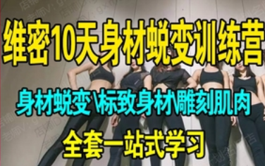陈海西 维密10天完美身材蜕变训练营 29h【完结】