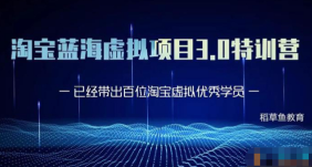 黄岛主《淘宝蓝海虚拟项目3.0》