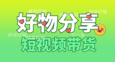 锅锅老师《好物分享短视频带货课程》