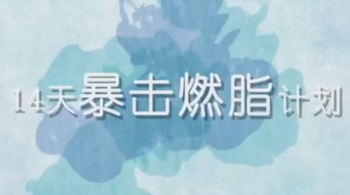 刘壮14天暴击燃脂计划【完结】