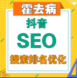 霍去病《抖音SEO搜索排名优化》【完结】