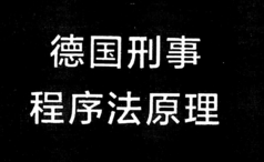德国刑事程序法原理 202101 托马斯·魏根特 pdf版