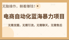 引流哥·蓝海暴力项目（新）