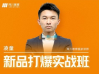 凌童《新品打爆实战班》