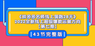 《拼多多名师线上领跑28天》2022全新线上超级爆