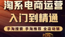 淘系电商入门到精通 手淘搜索，手淘推荐，全店