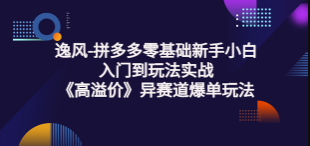 逸风系列课丨拼多多零基础新手小白入门到玩法