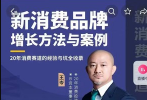 王岑：新消费品牌增长方法与案例（爆款视频课