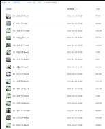 徐炳昕高级金口诀面授班2018