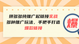 拼多多纯推广起链接实战玩法