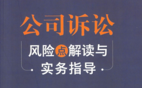 公司诉讼风险点解读与实务指导 2022 pdf版下载