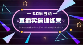 蚂蚁·5.0半自动直播2345心法