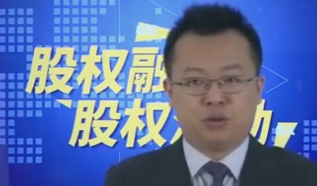 宋俊生：《股权融资与股权激励》