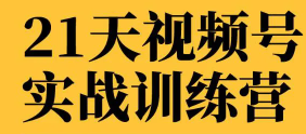 张萌《视频号实战训练营》（12节，视频+音频）
