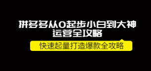 拼多多从0起步小白到大神运营全攻略（威哥）