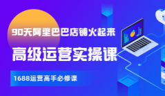 【90天阿里店铺火起来】全套高级运营课