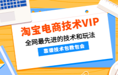 齐师傅电商·淘宝电商技术VIP