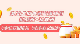 淘宝虚拟电商蓝海项目实战班+私教班