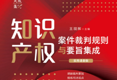 知识产权案件裁判规则与要旨集成：实用速查版