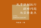 民事强制执行疑难问题与实务要点 向国慧 pdf版下