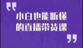 大威本威·小白也能听懂的直播带货课【网盘资源