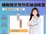 【编辑老张】网文通关攻略 爆款网文写作训练营
