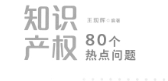知识产权80个热点问题 大成集 王现辉 pdf版下载