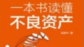 一本书读懂不良资产 石佳华 2022 pdf版下载