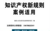 知识产权新规则案例适用2022 pdf版下载