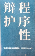 程序性辩护 娄秋琴2022 pdf版下载