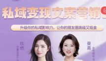 知识包租婆-私域变现文案营销课【高阶版】【网