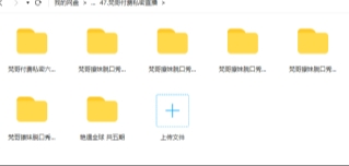 梵哥付费私密直播【网盘资源】