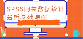 SPSS问卷数据统计分析基础课程【网盘资源】