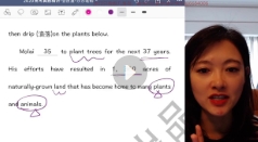 沙沙老师进阶英语阅读能力提升营【网盘资源】