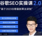 谷歌SEO 2.0 实战课 - 独立站询盘自由必备【网盘资