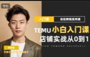 Temu 12天快速入门实操课【网盘资源】