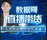 数据哥-直播带货人货场运营打法实操课【网盘资