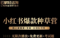 言若非-小红书爆款种草营【网盘资源】