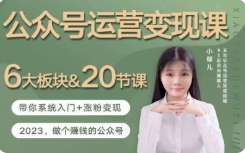 小郁儿-公众号运营变现课｜6大板块&20节课，带你