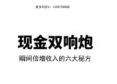 现金双响炮（电子书）pdf版下载