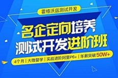 名企定向培养测试开发进阶班python方向[完结]【网