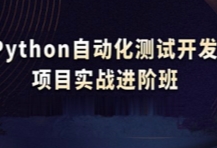 测开之Python自动化测试全栈VIP课程【网盘资源】