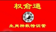 权俞通生肖神数特训营十六期 8集【网盘资源】