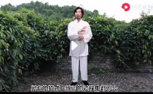 龙门天成《全真龙门派站桩养生功》20集【网盘资