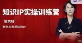 崔老师'知识IP实操训练营【网盘资源】