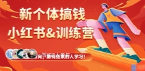 新个体搞钱-小红书&训练营【网盘资源】